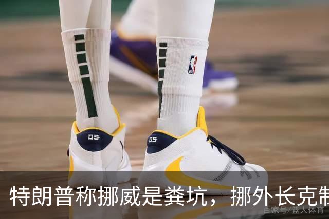特朗普称挪威是粪坑，挪外长克制回应，直指选情不佳让他失言